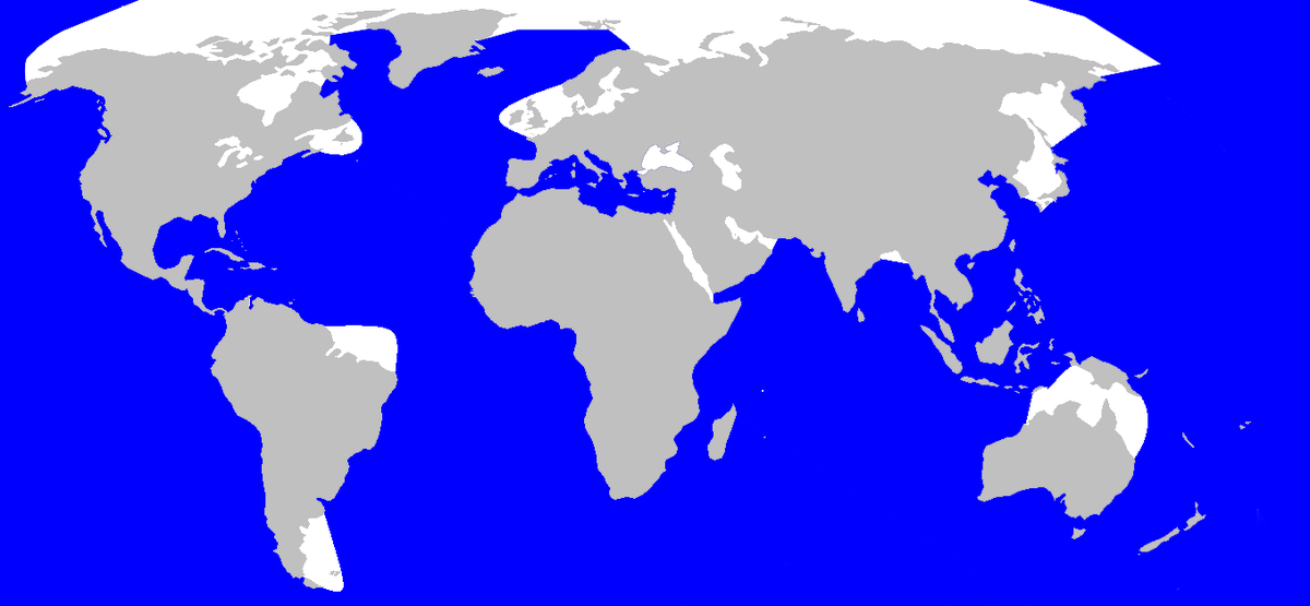 Cetacea range map Sperm Whale 4.PNG