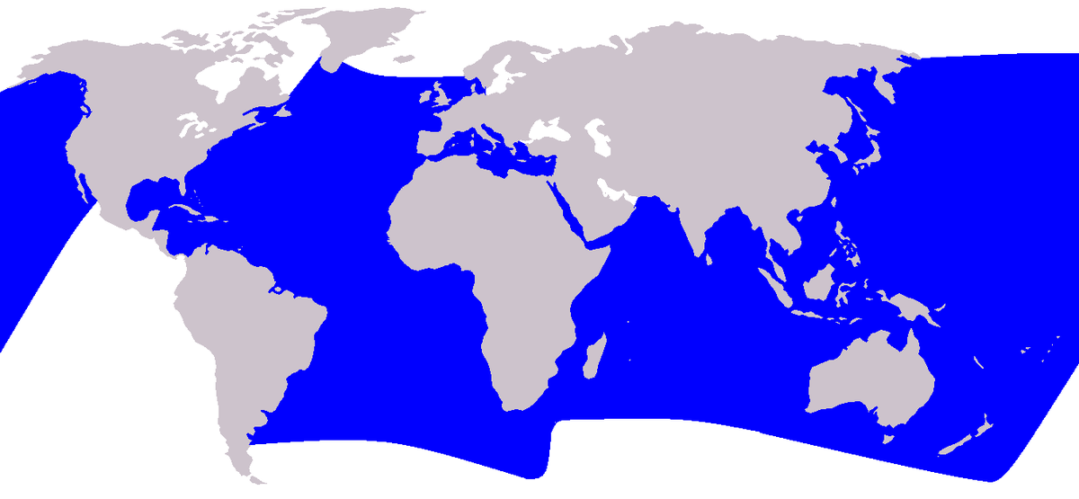 Dauphin bleu et blanc