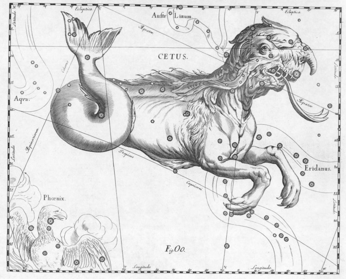 Cetus Hevelius.jpg
