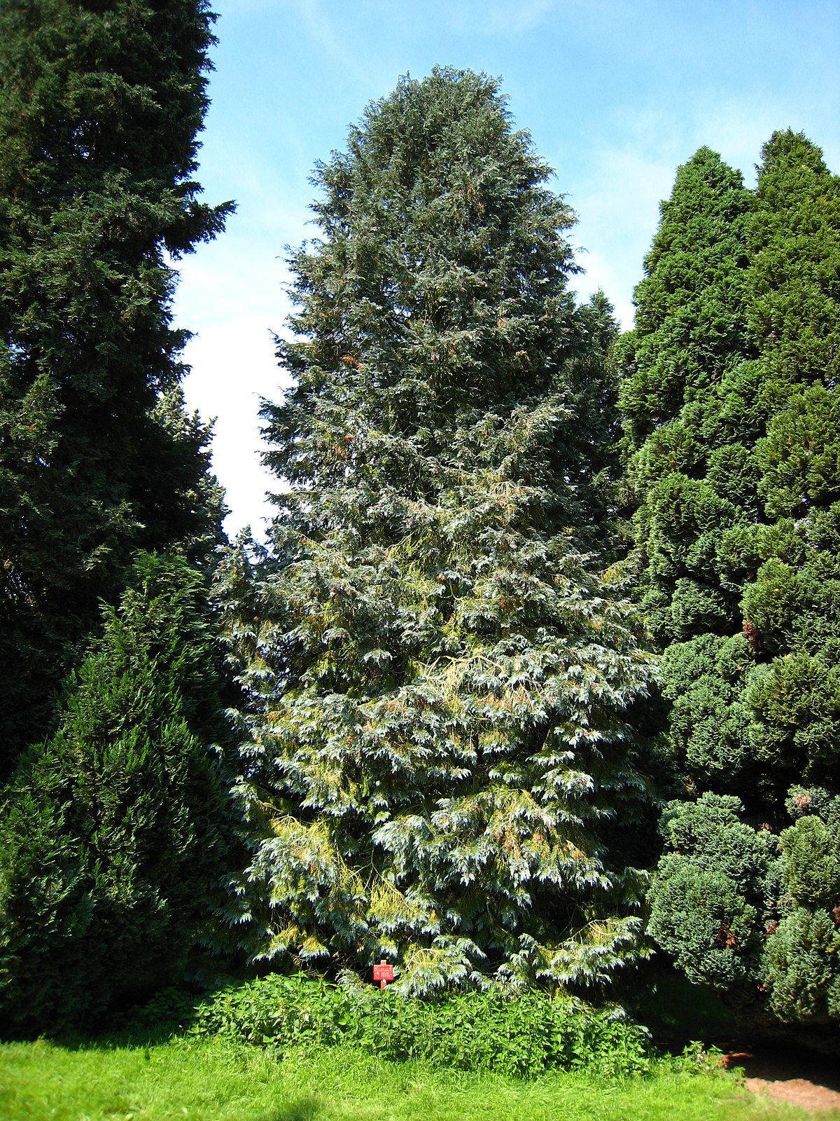 Arboretum de Chèvreloup