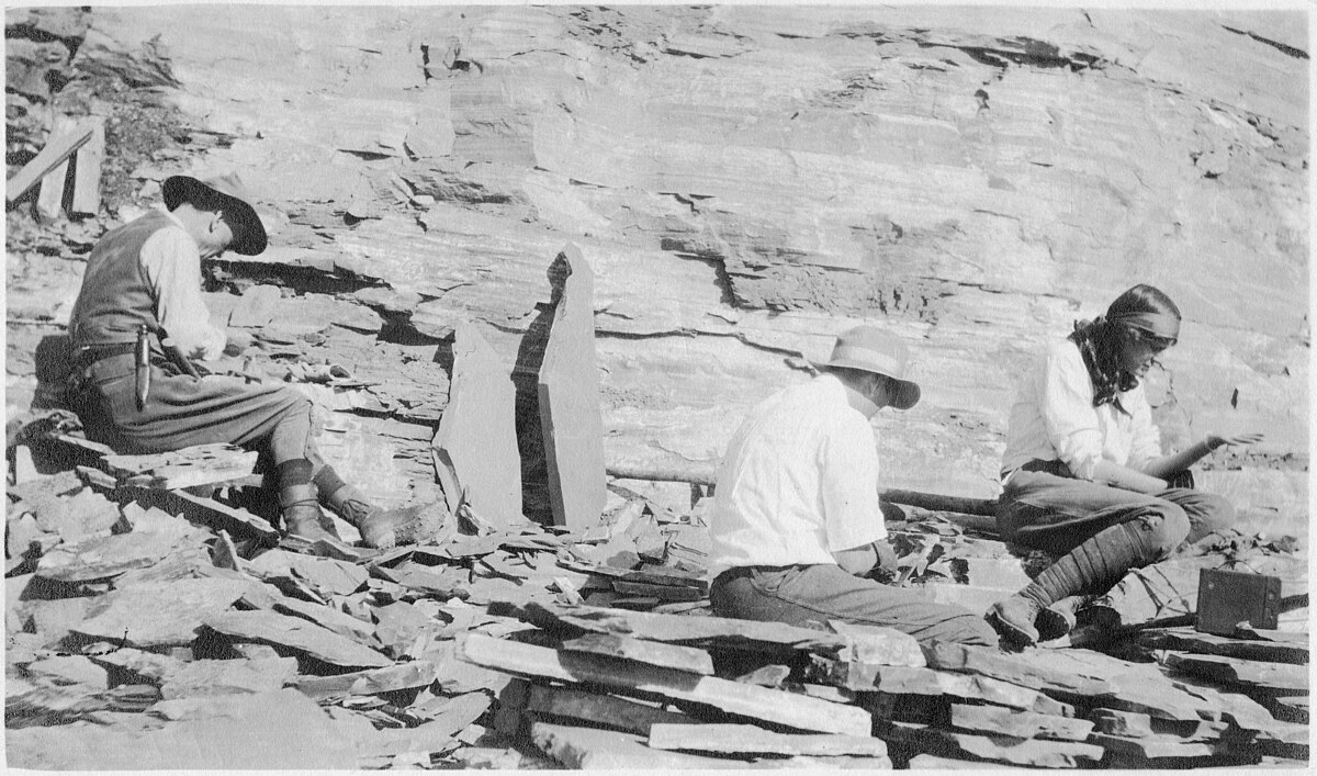 1909 en science
