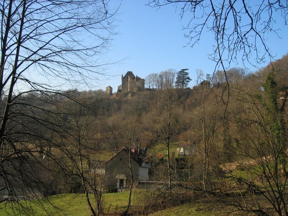 Chateau de Frontenay 04.jpg