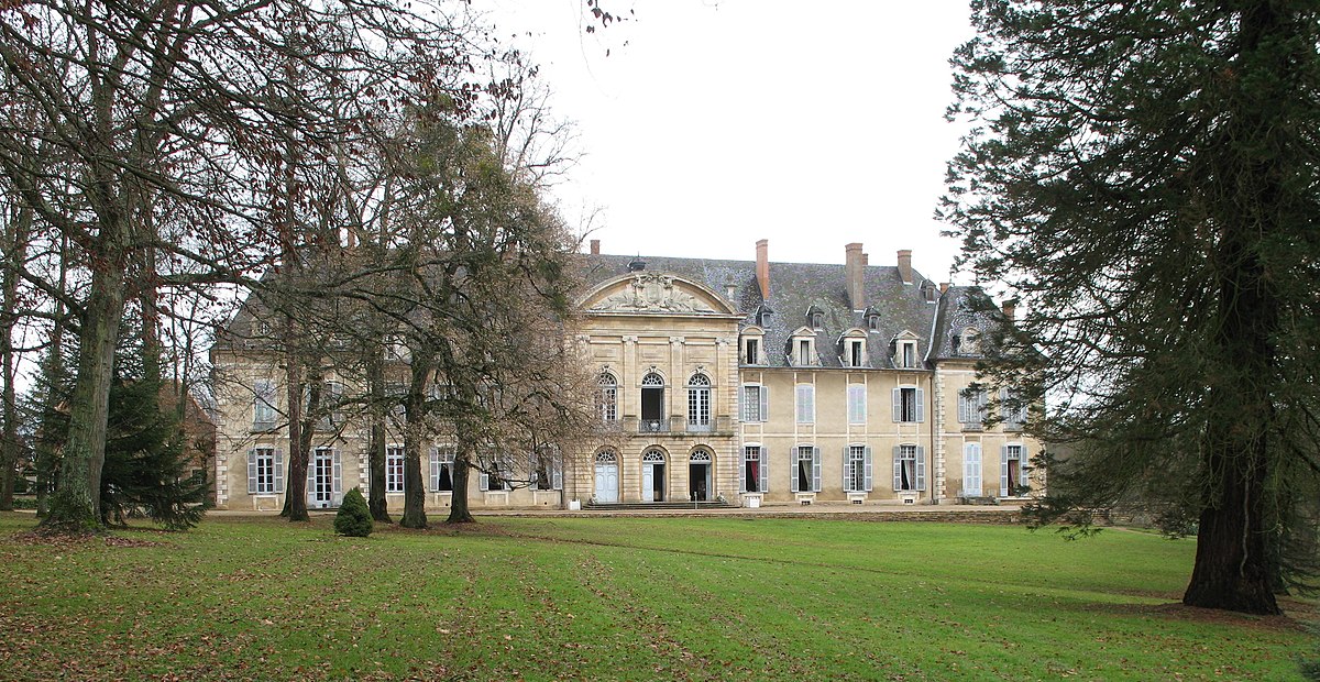 Château de la Ferté (Saint-Ambreuil)