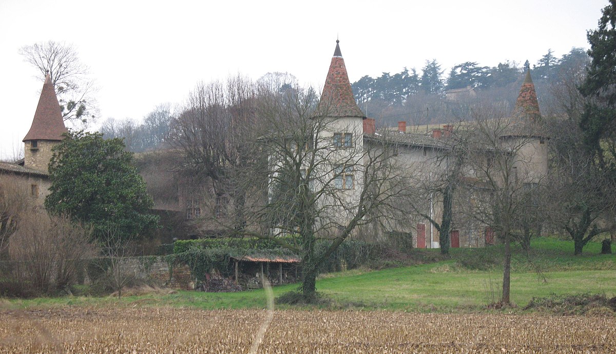 Château de la Fontaine (Anse)