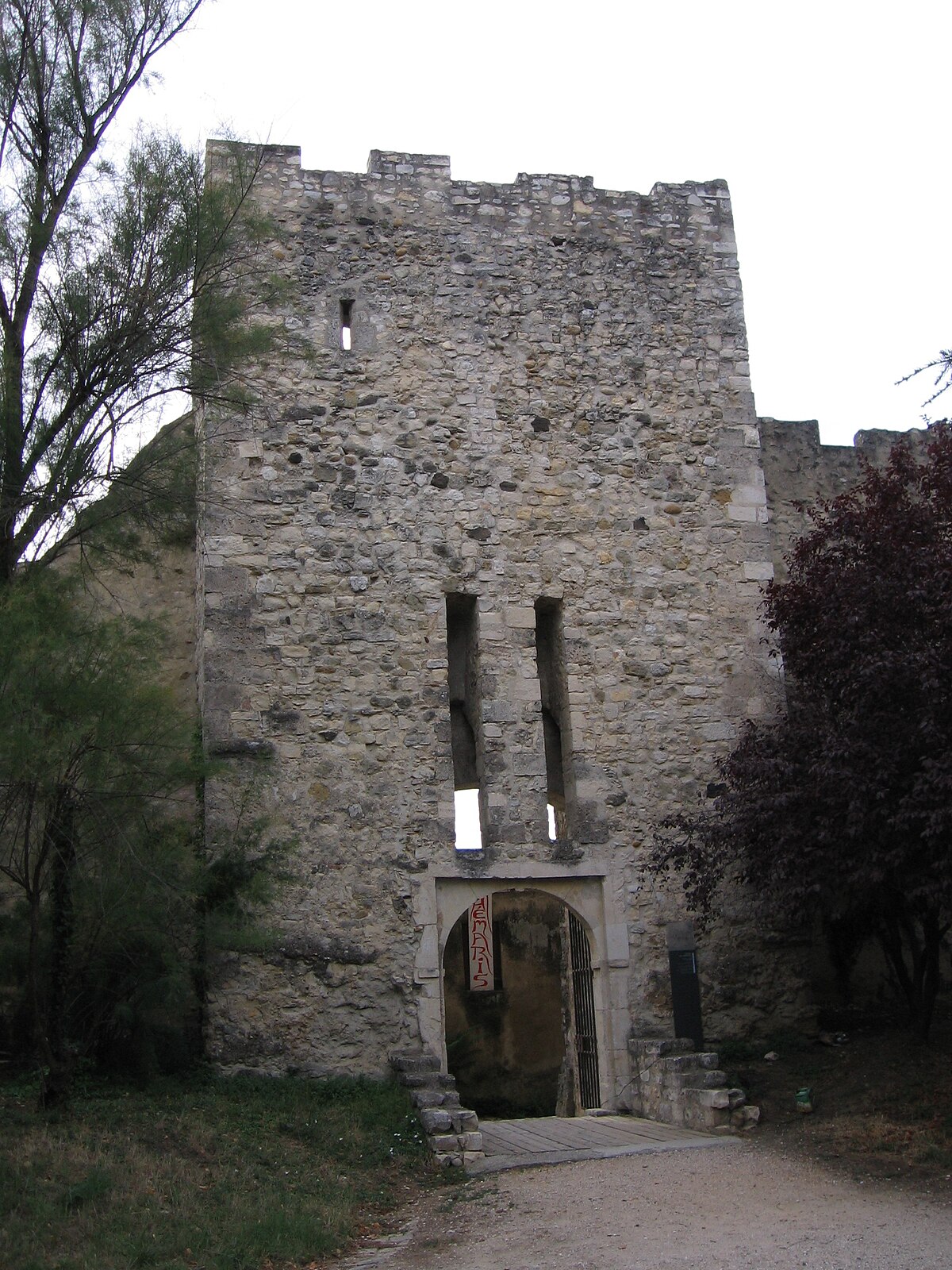 Château des Adhémar 08 2006 059.jpg