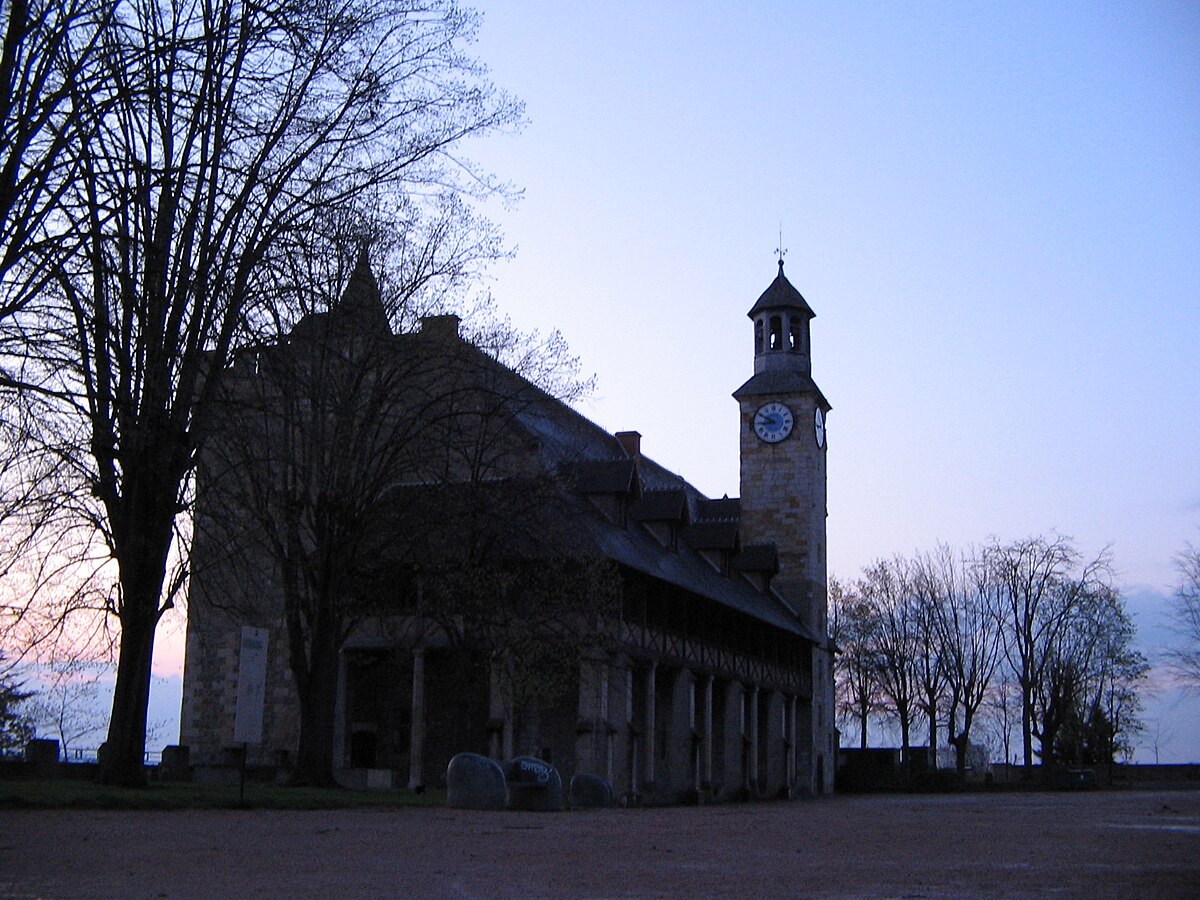 Château des ducs de Bourbon à Montluçon