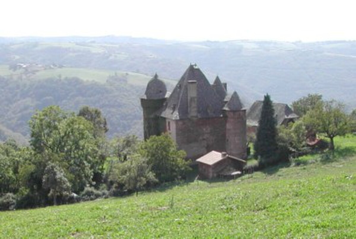 Château de Selves