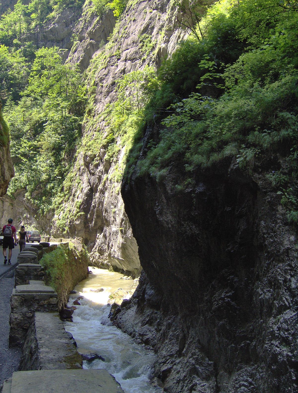 Bicaz (rivière)