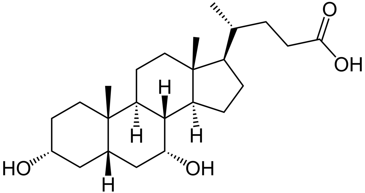 Acide biliaire