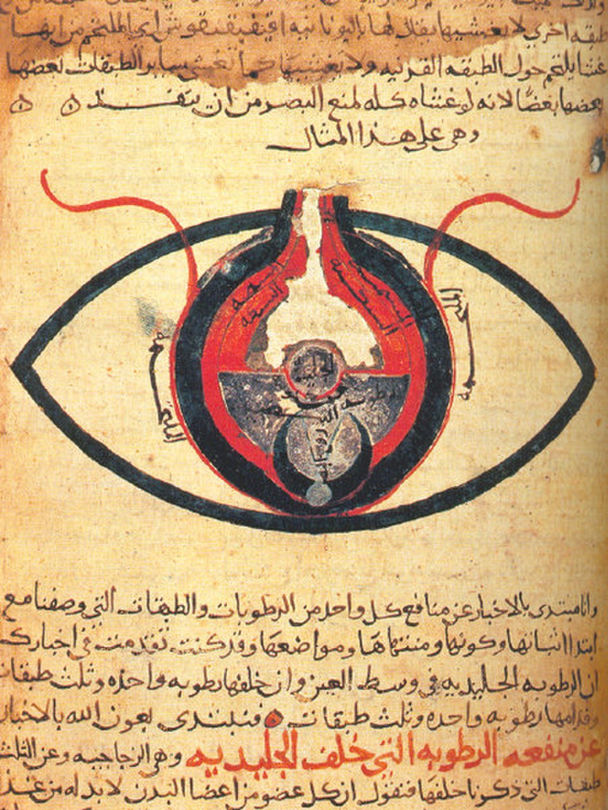 Ophthalmologie dans la civilisation islamique médiévale