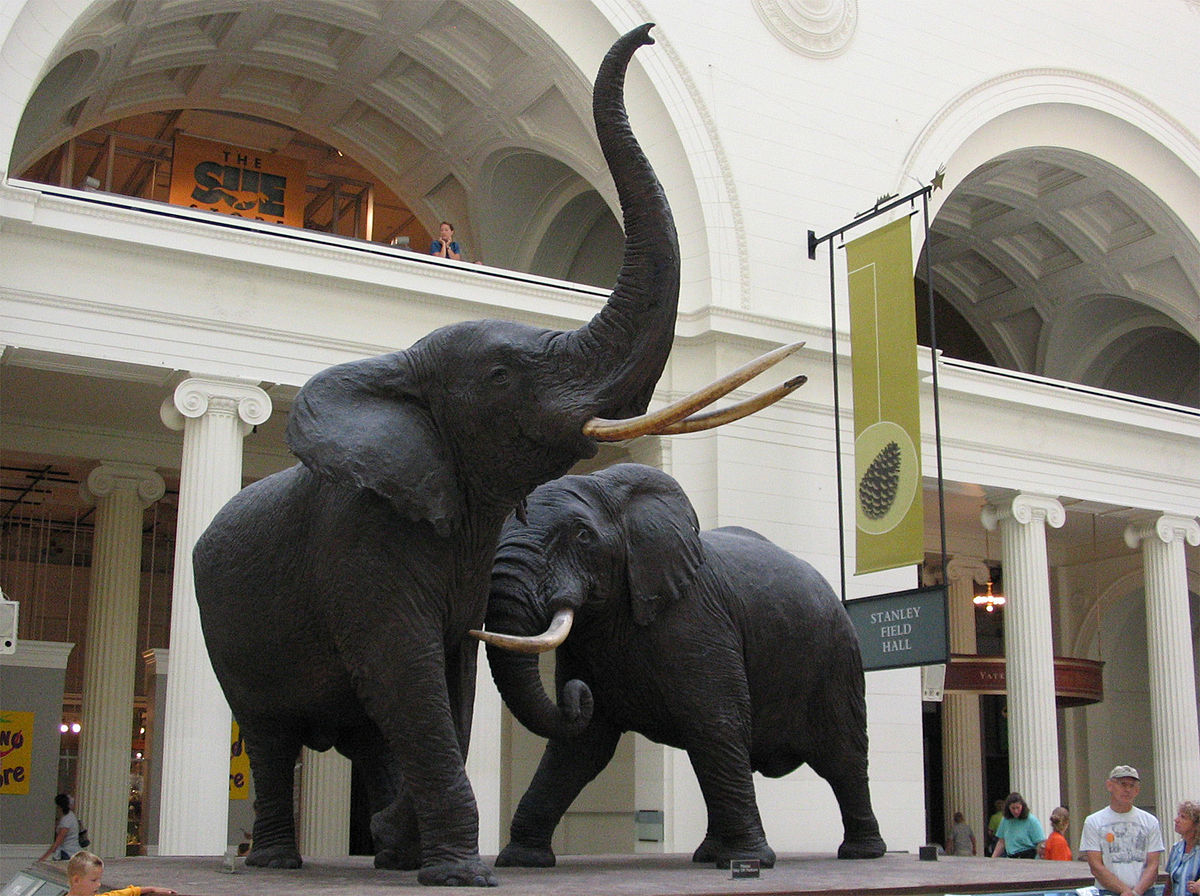 Musée d'histoire naturelle