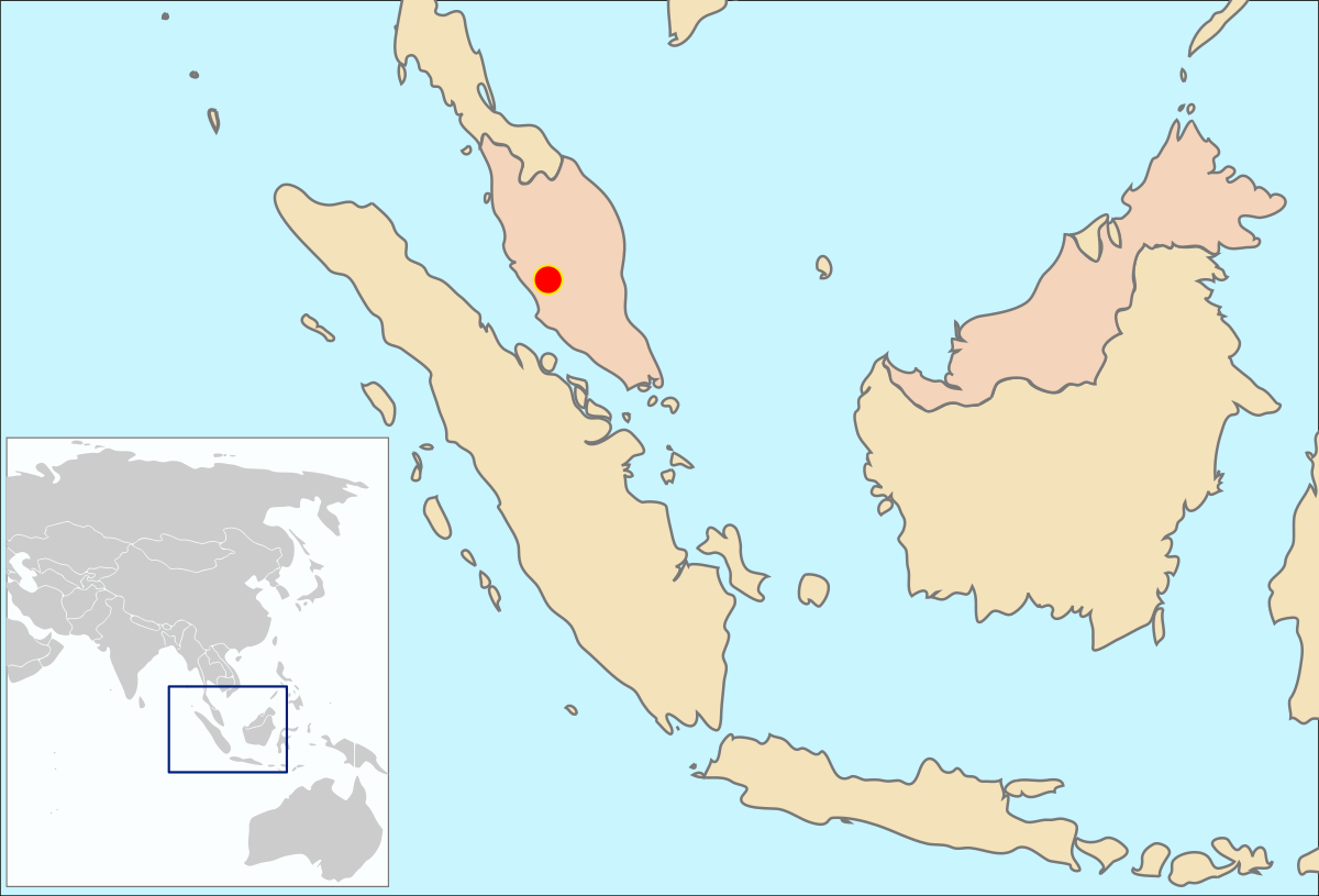 Chimarrogale hantu