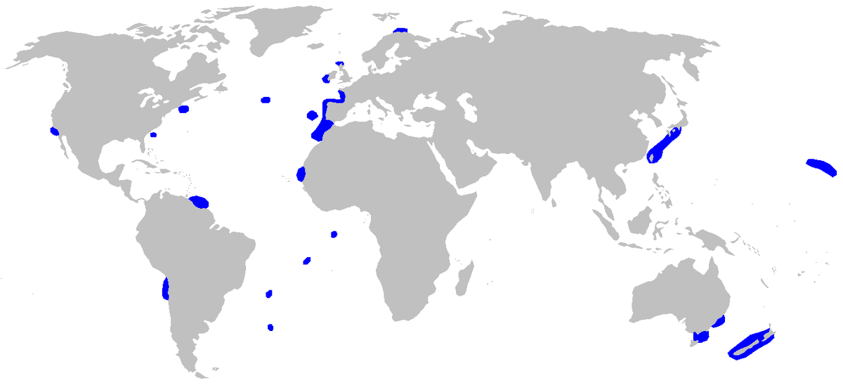 Chlamydoselachus anguineus distmap.png