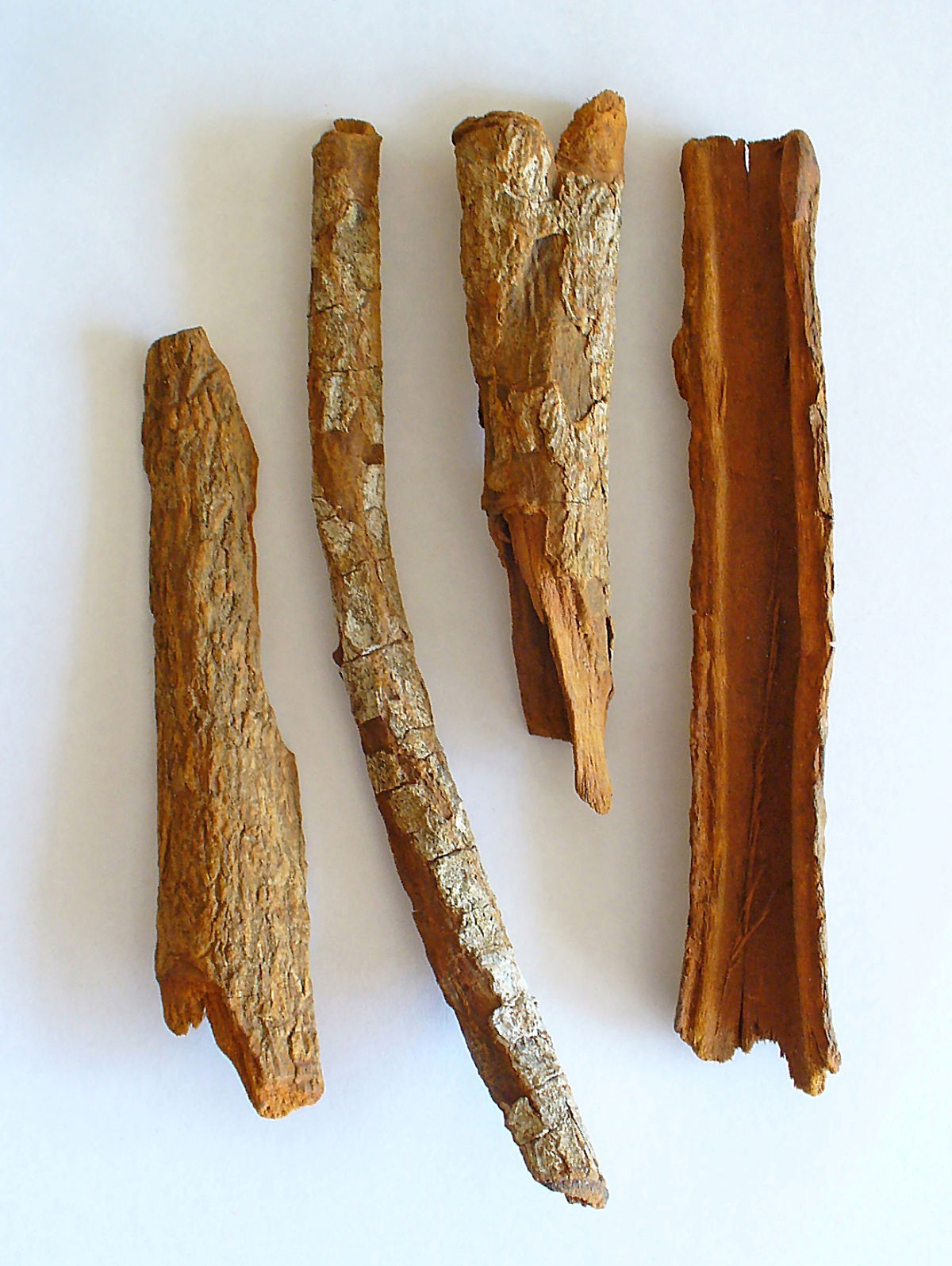 Quinquina