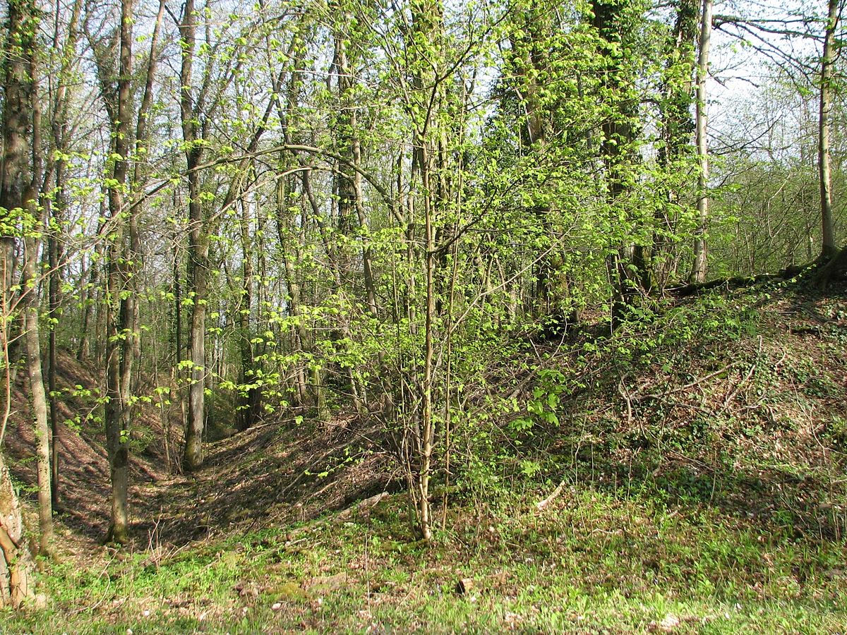 Camp d'Affrique
