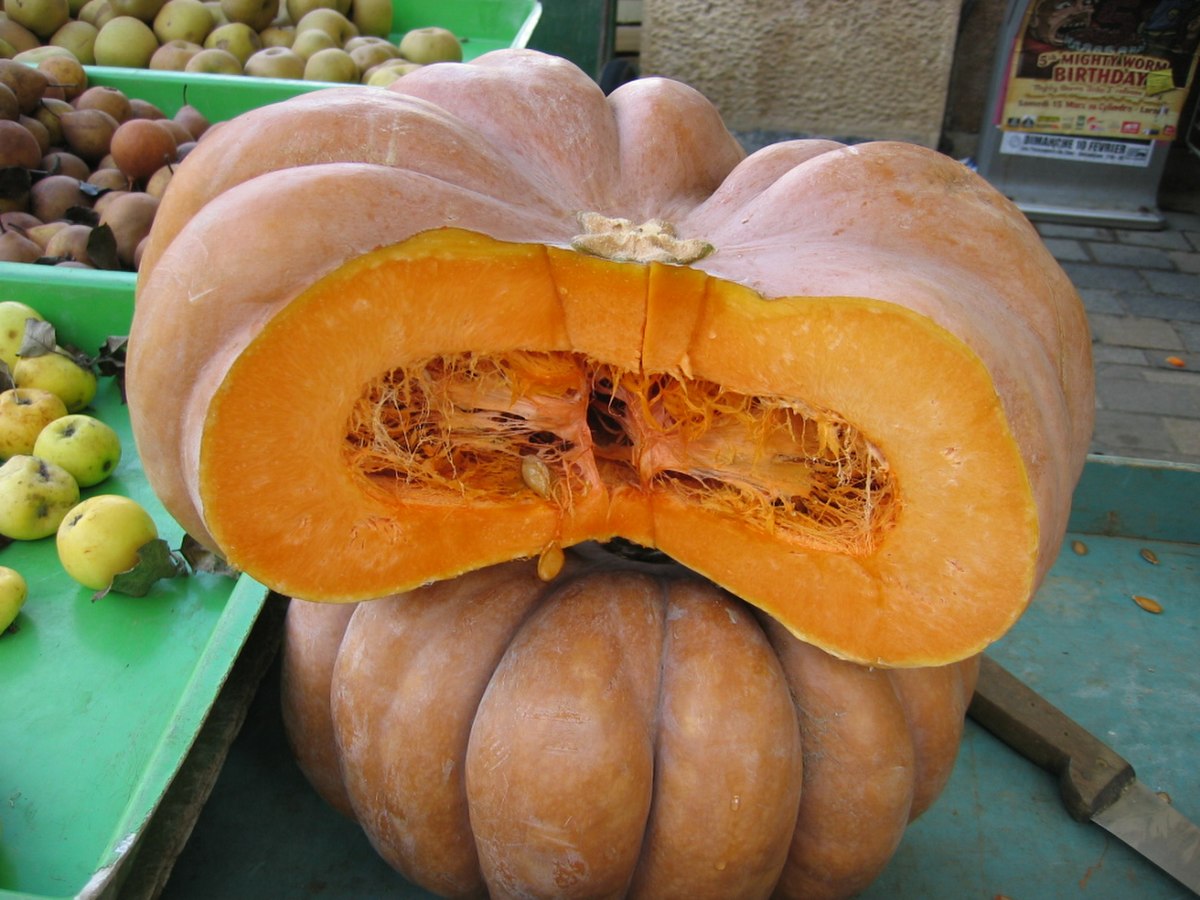 Citrouille