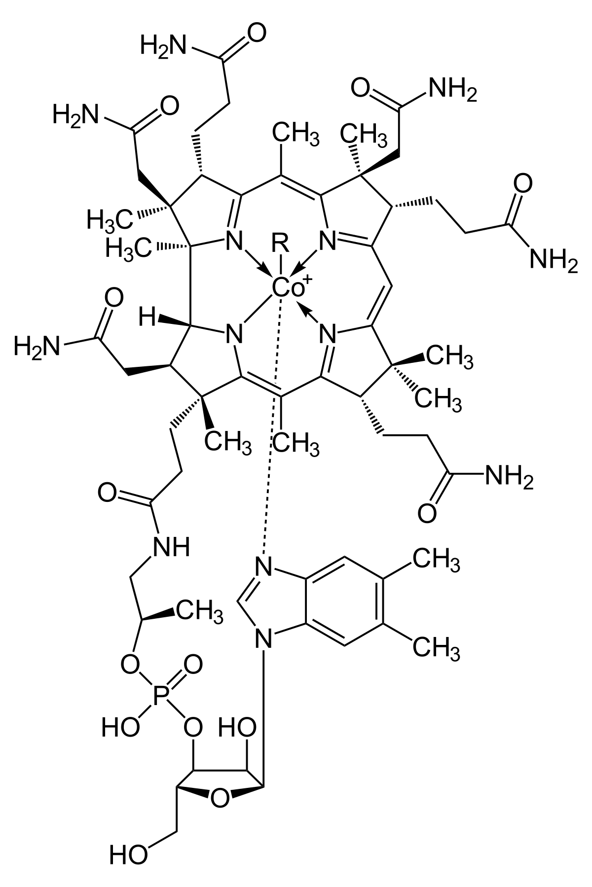 Représentation de la molécule