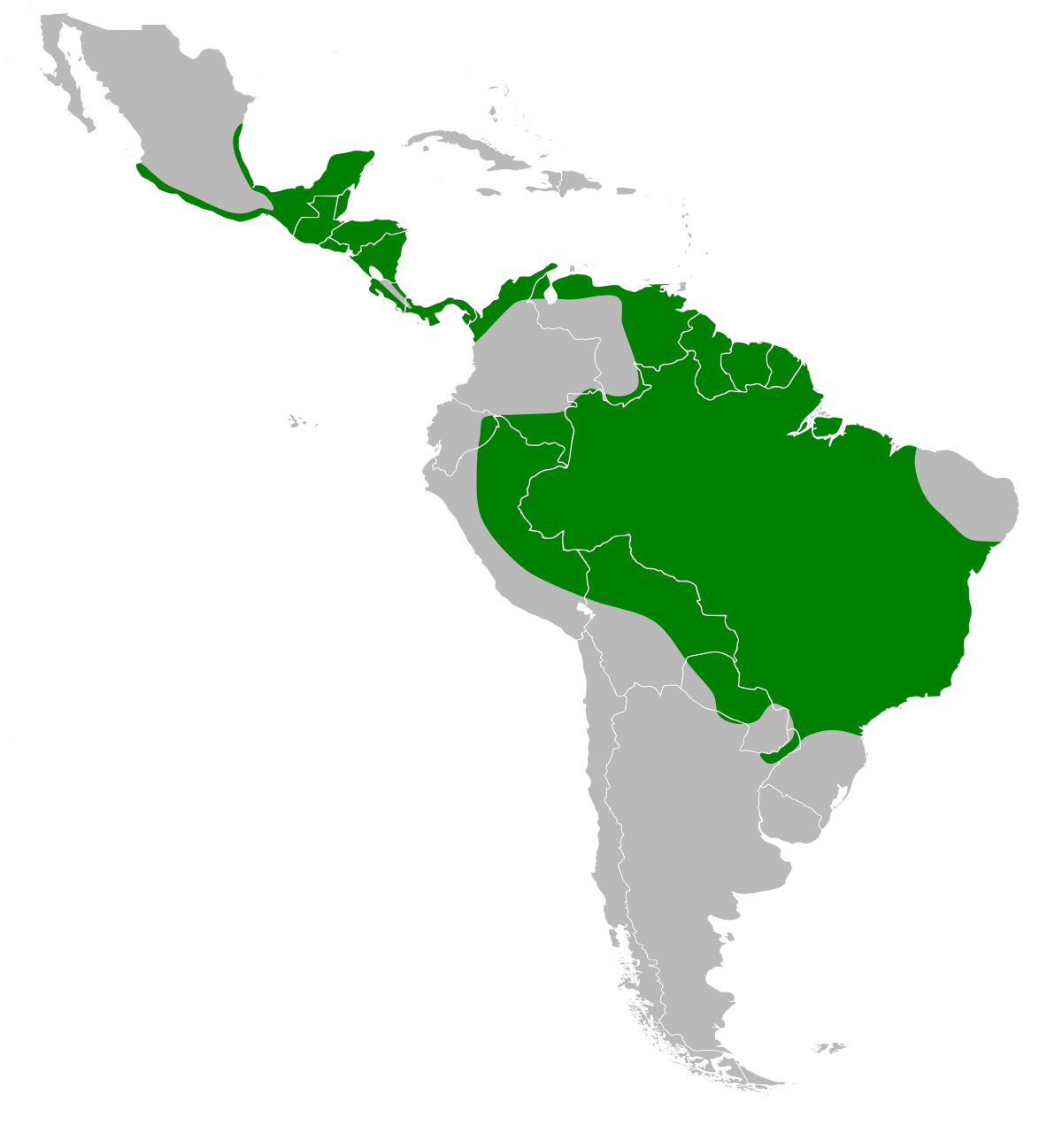 Cochlearius cochlearius map.svg