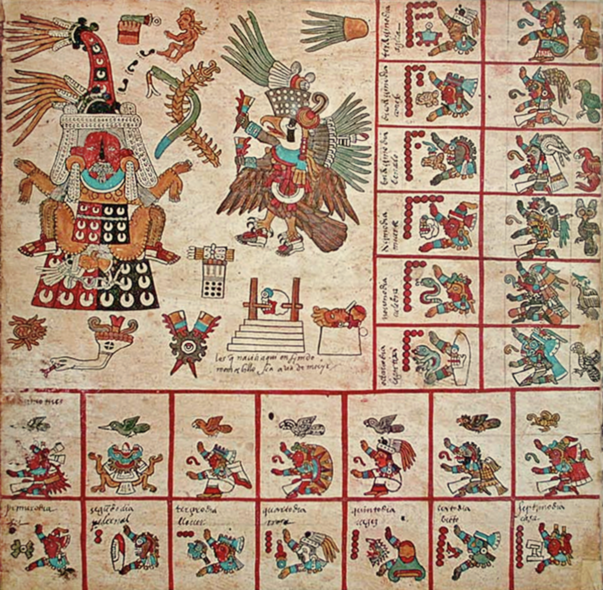Le Codex Borbonicus permet de se faire une idée précise des glyphes représentant les jours. Ainsi, cette page représente la 13e treizaine du calendrier aztèque, placée sous la protection de la déesse Tlazolteotl. La lecture se fait de bas en haut, de gauche à droite; Les cases étant numérotées de 1 à 13. Le premier jour de la treizaine est 1-tremblement (1-Ollin), suivi de 2-silex, 3-Pluie, etc. jusqu'à 13-eau.