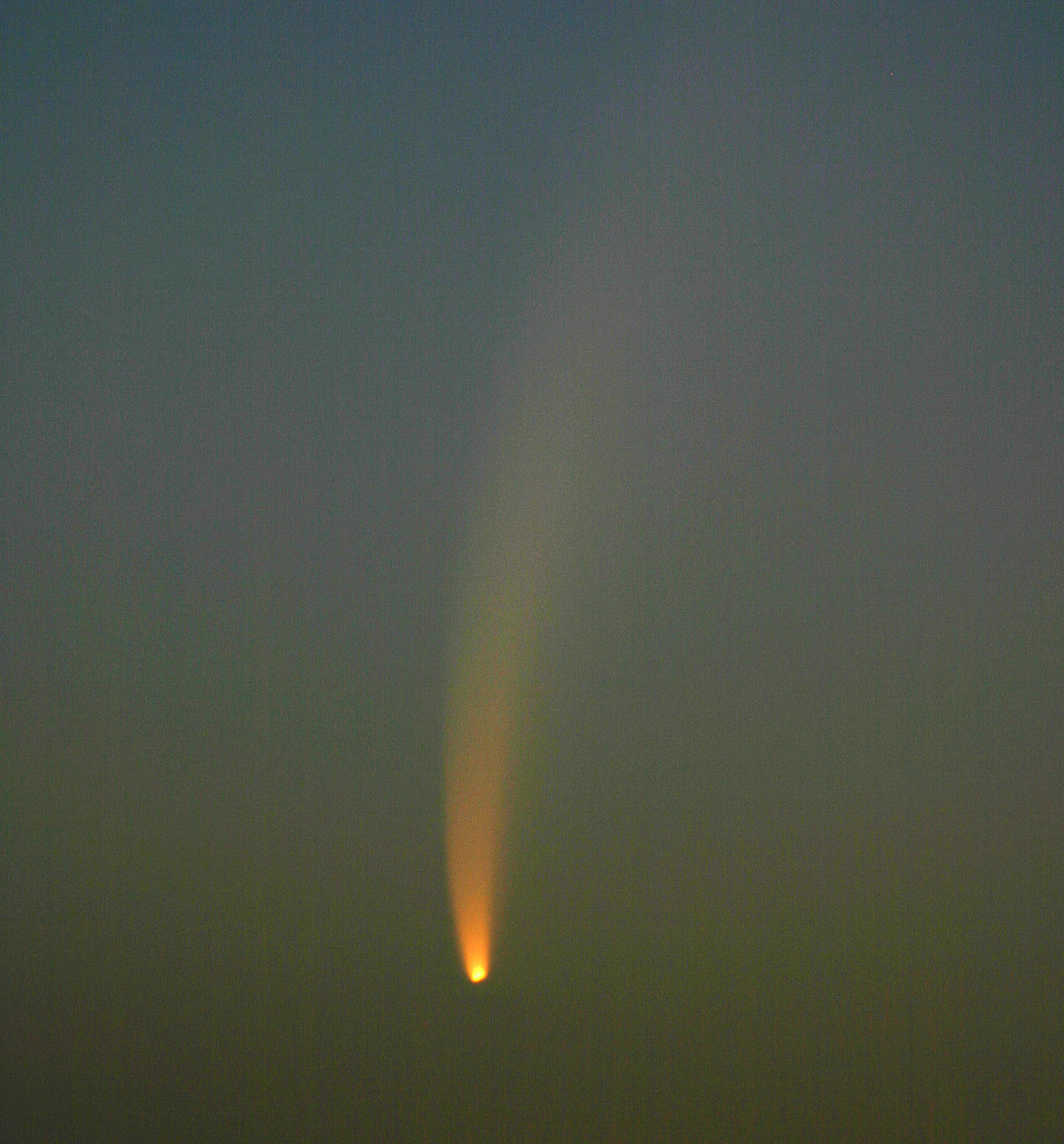 Comète McNaught