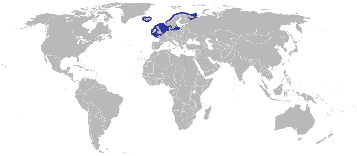 Common Dab Distribution Map.png
