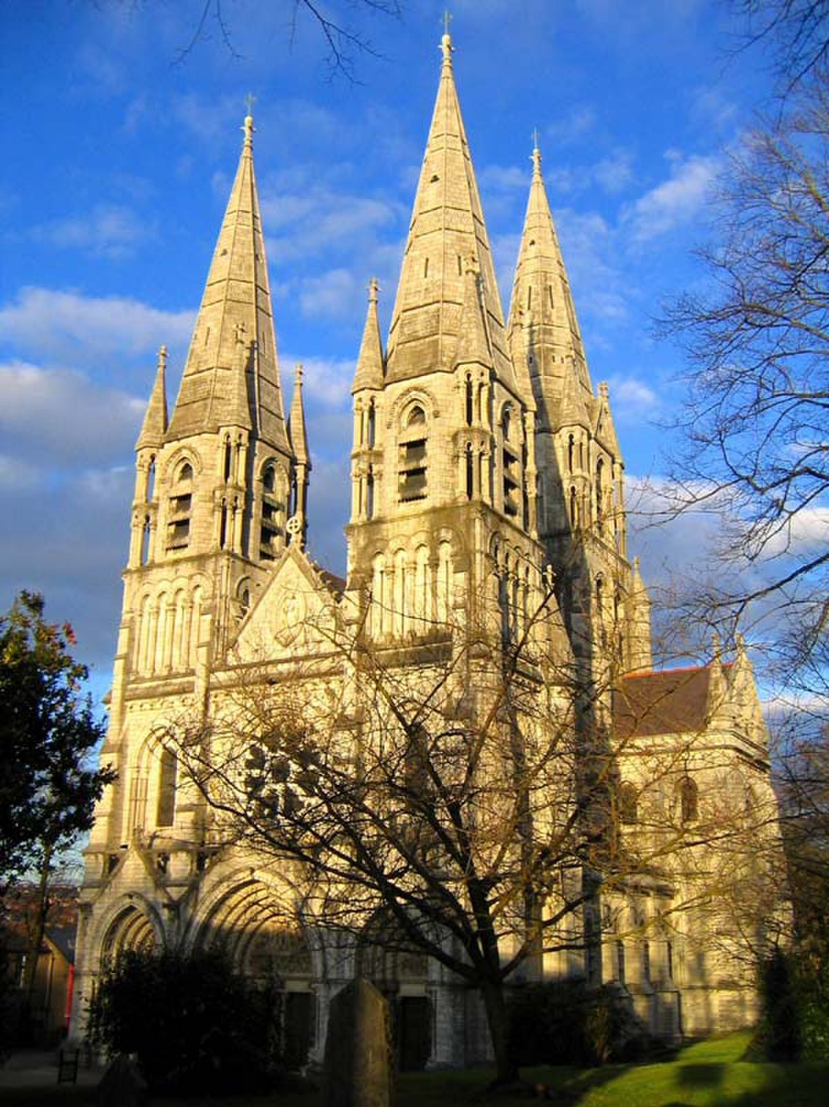 Cathédrale Saint-Finbarr de Cork