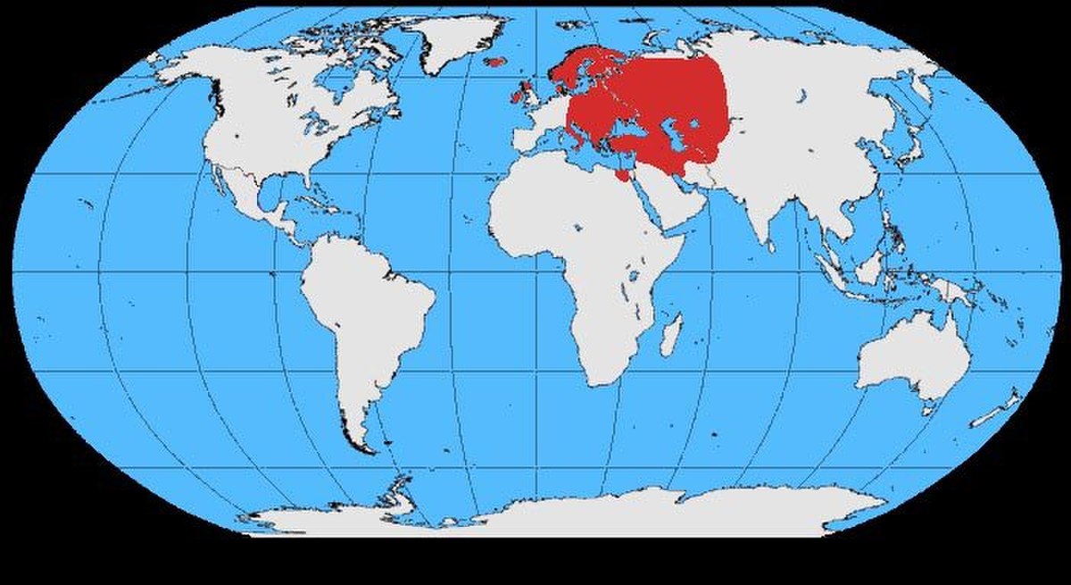 Corvus cornix map.jpg