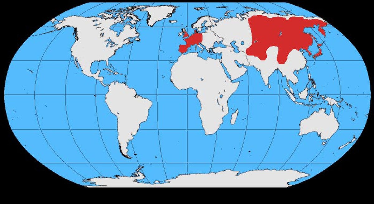 Corvus corone map.jpg