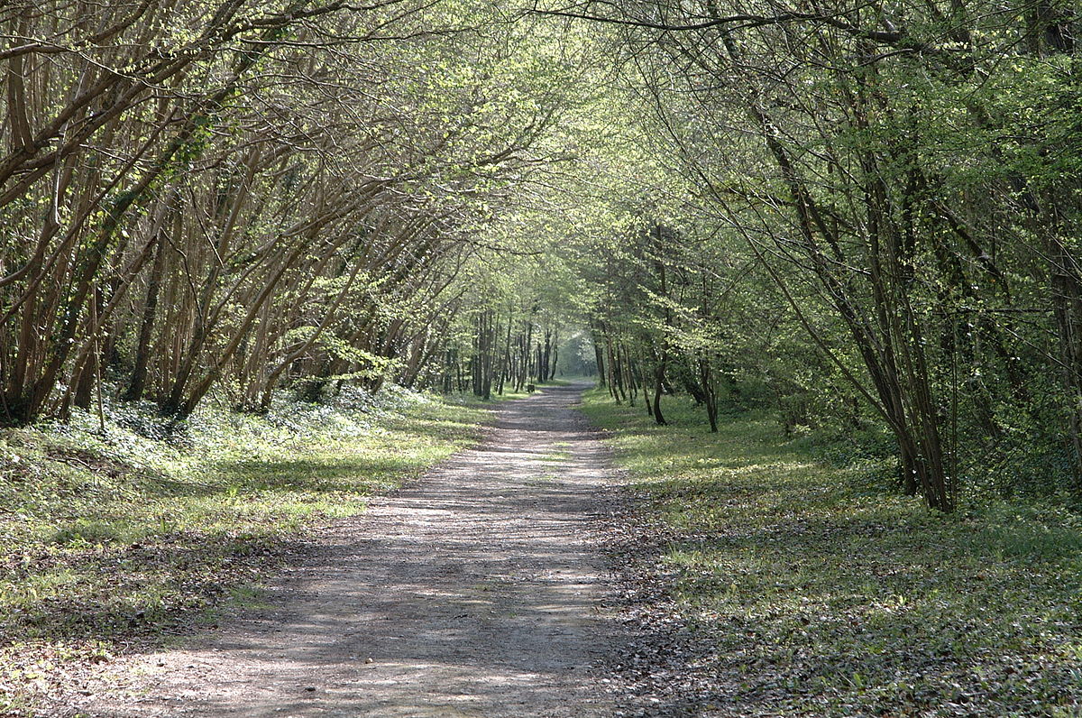 Coulée verte