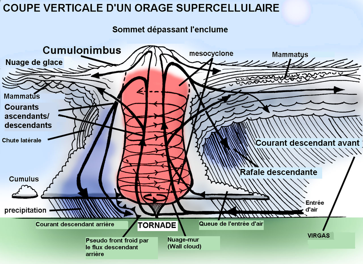 Mésocyclone