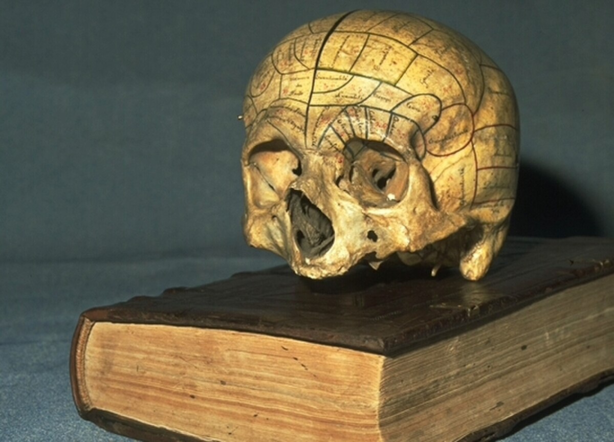 Phrénologie