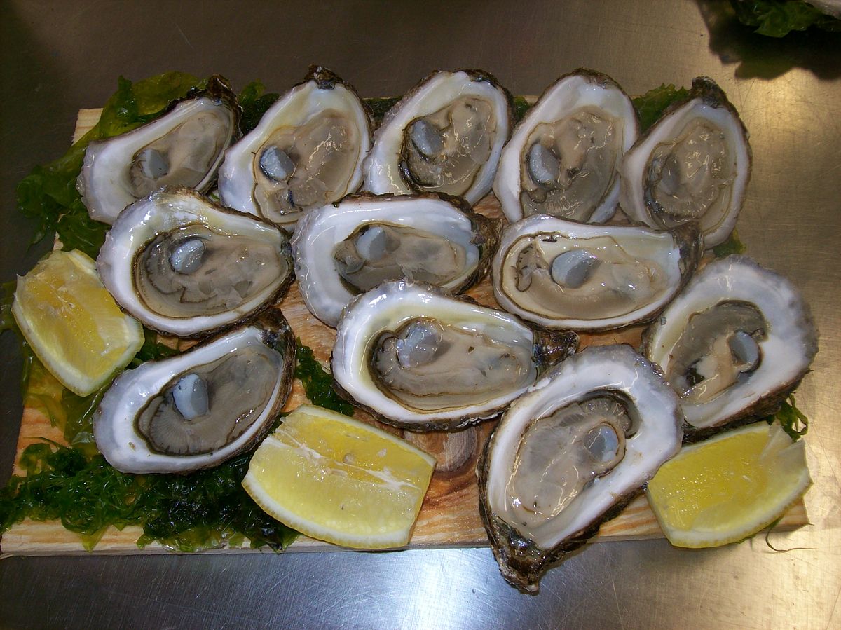 Crassostrea virginica