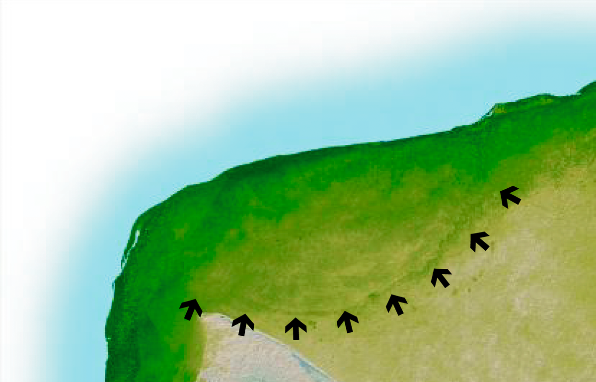 Cratère de Chicxulub