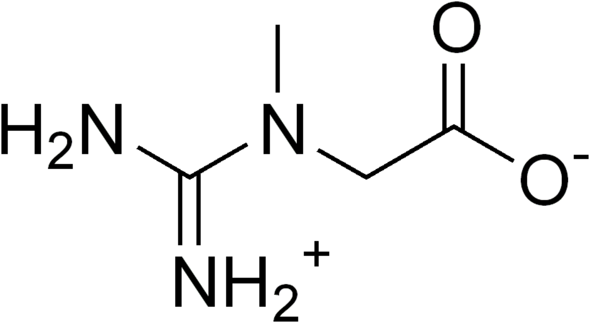 Créatine