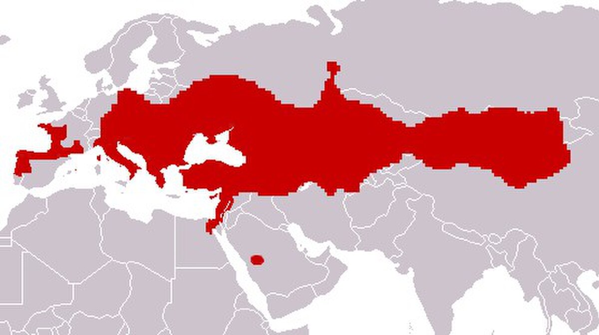 Crocidura suaveolens distribution.jpg
