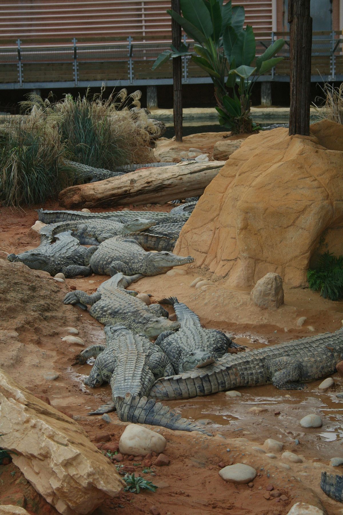 La Ferme aux crocodiles