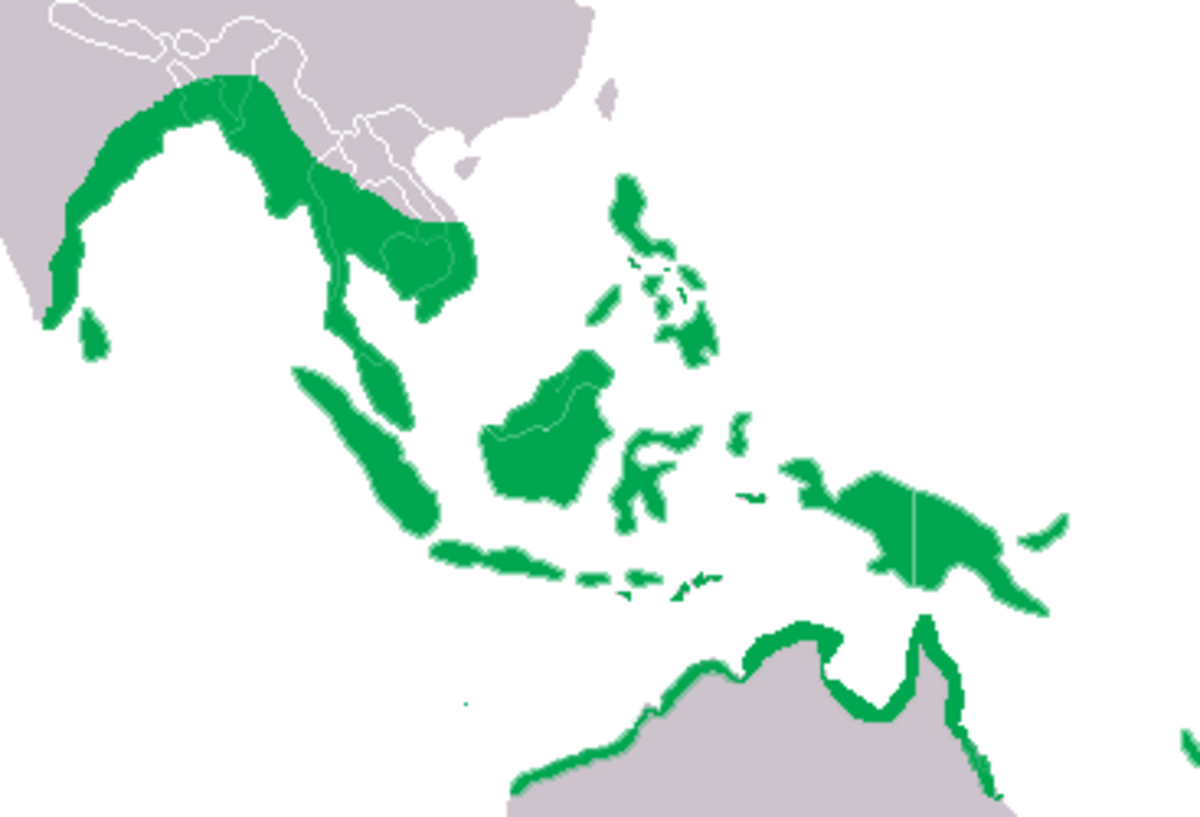 Crocodylus porosus Distribution.png