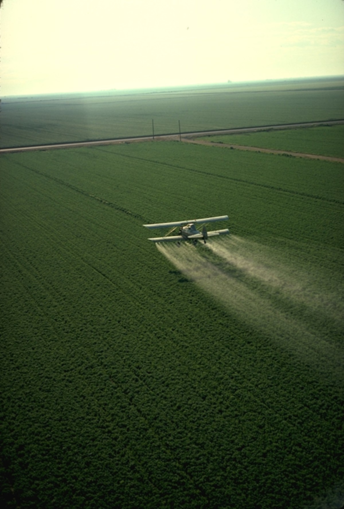 Pesticide