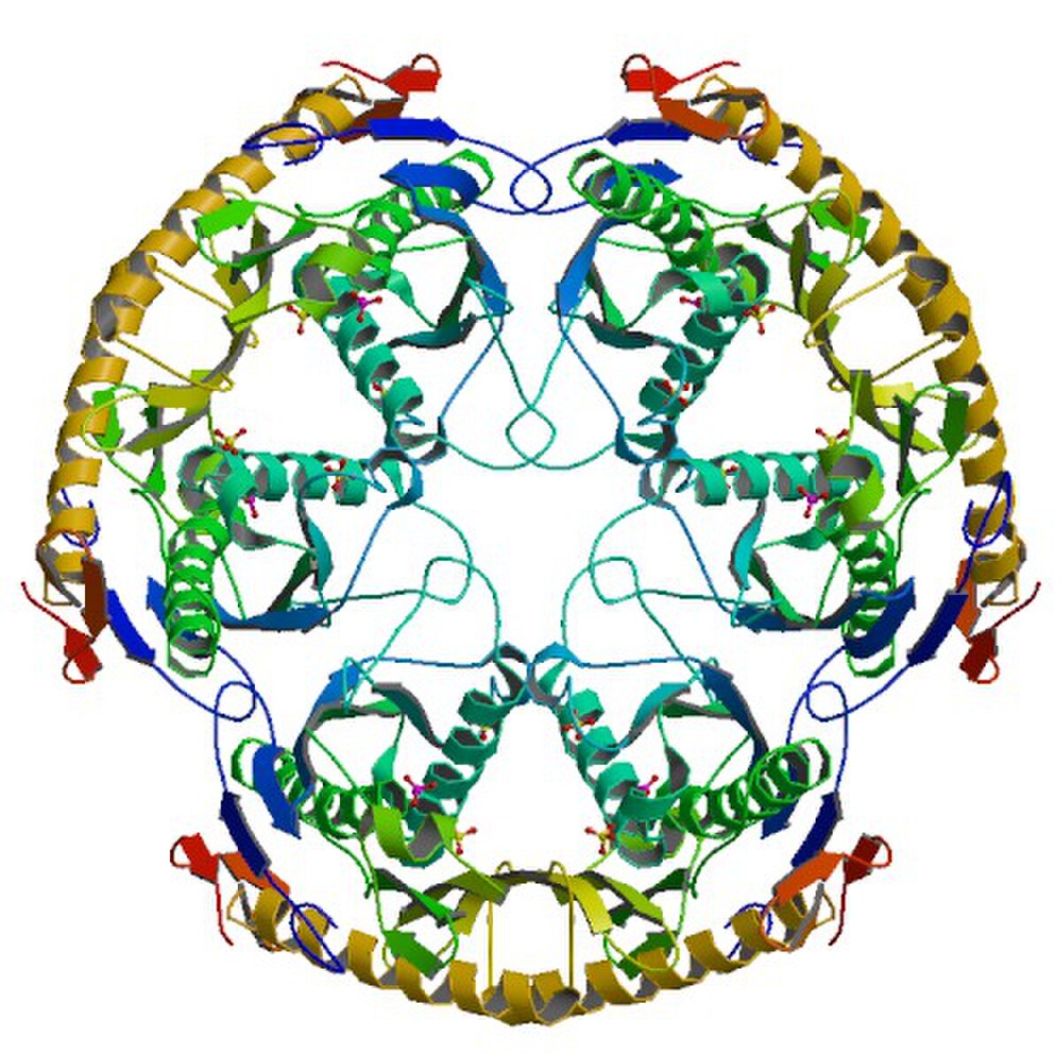 RNase PH