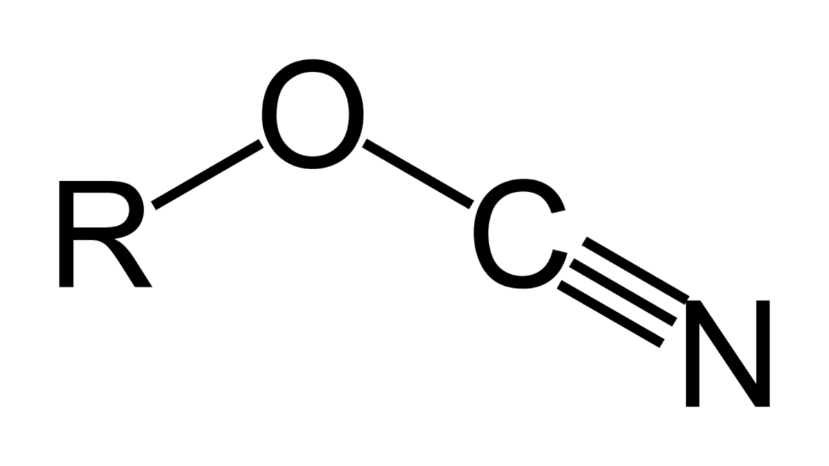 OCN