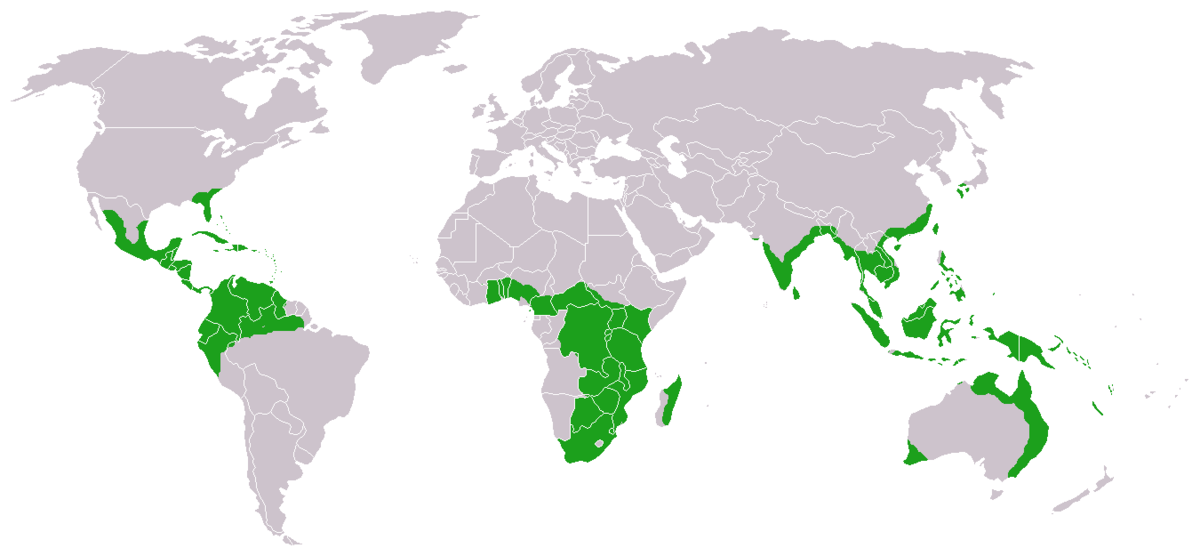 Cycads world distribution.png