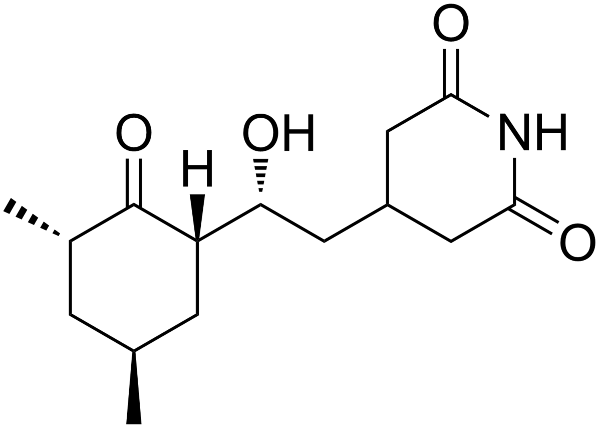 Cycloheximide