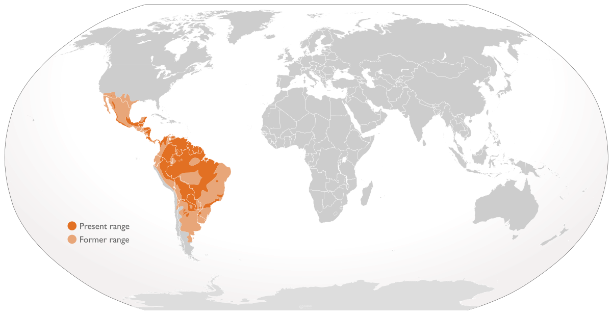 Cypron-Range Panthera onca.svg