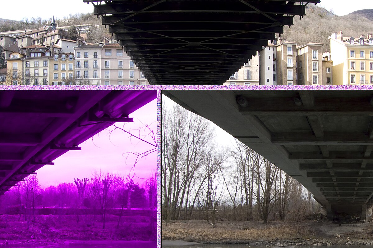 RAW (format d'image)