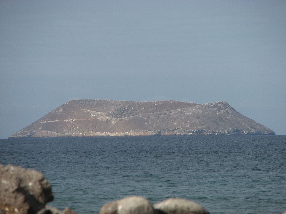 Île Daphne