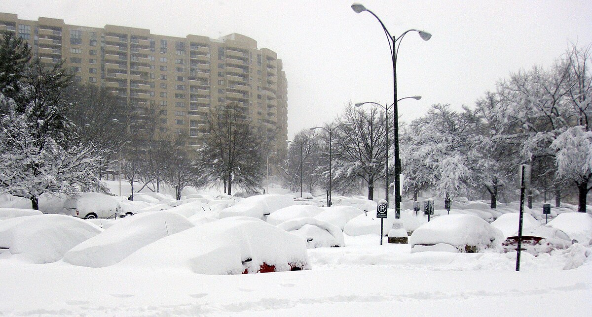 DCA Blizzard 02 2010 9127.JPG