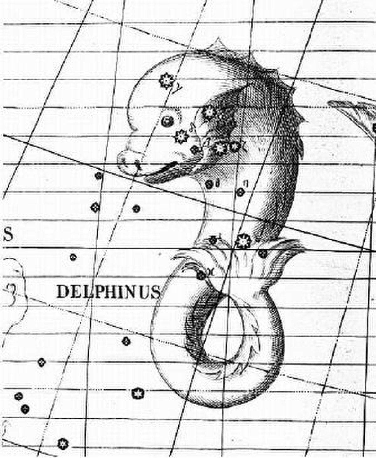 Liste d'étoiles du Dauphin