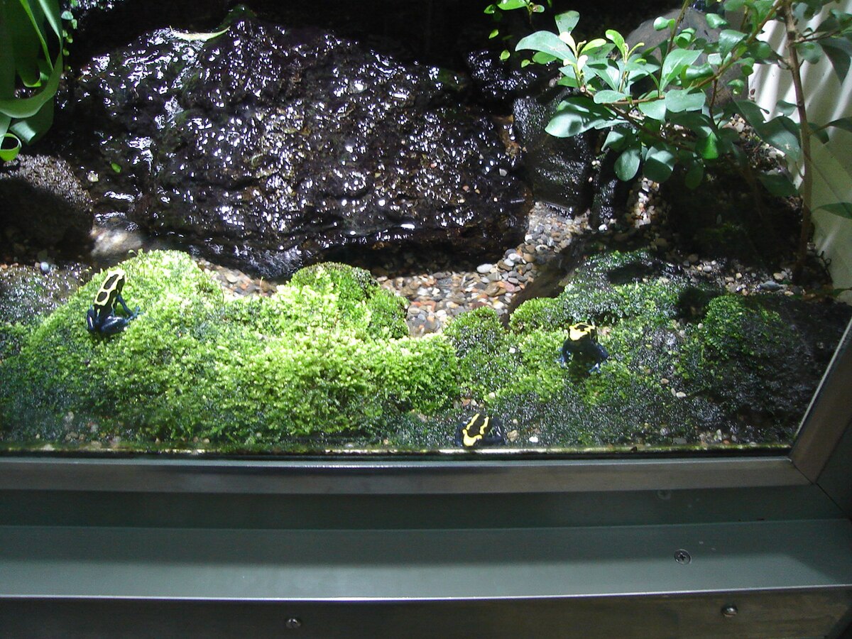 Vivarium