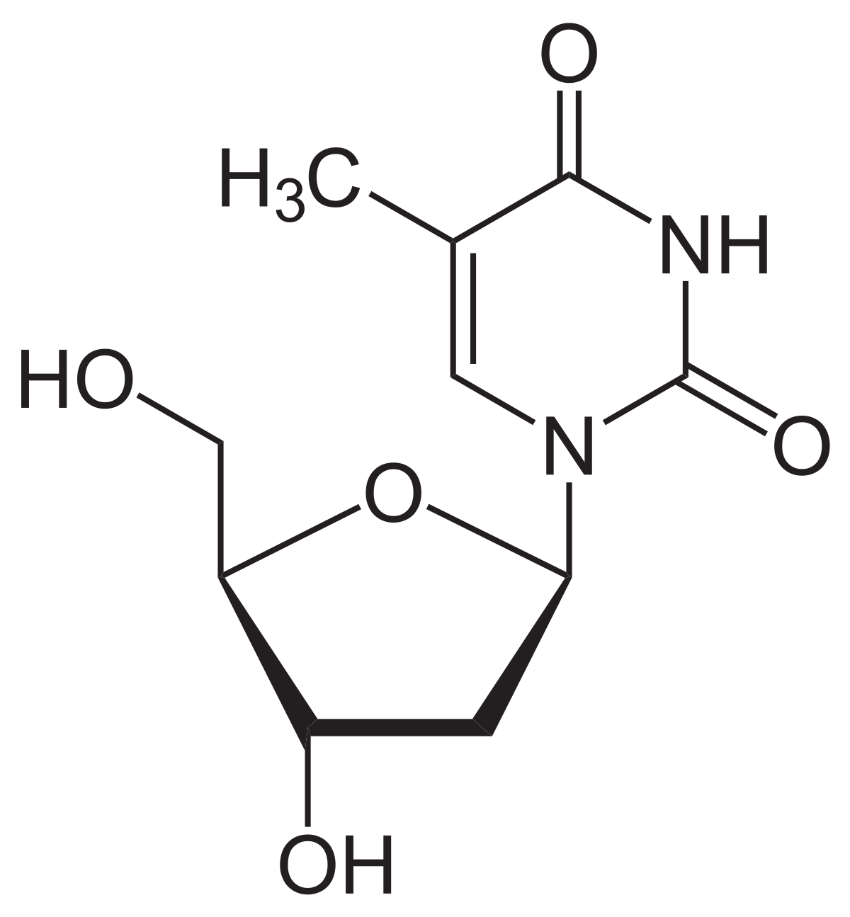 Schéma de la désoxythymidine