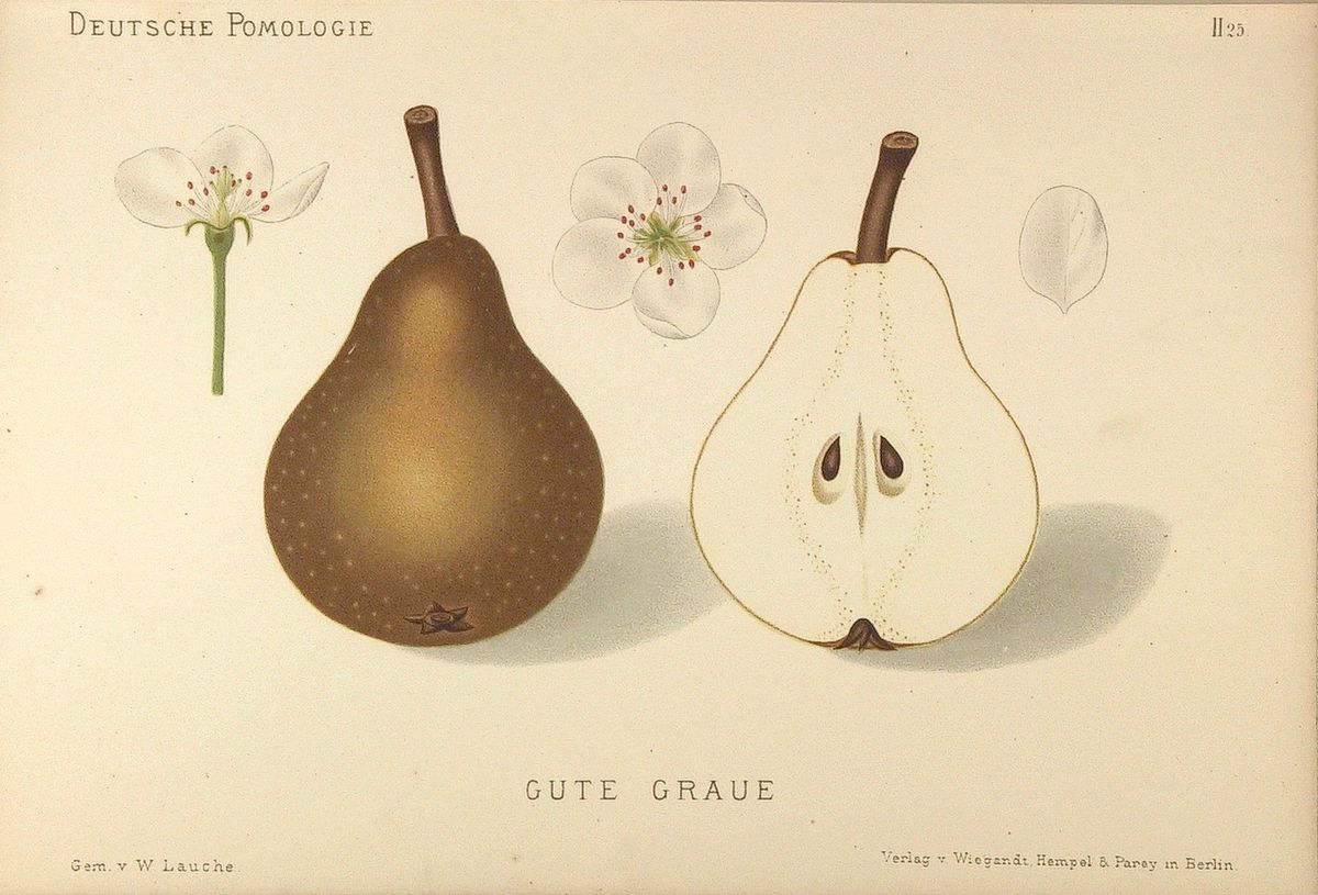 Beurre
